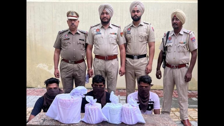 Punjab Police Uncover Cross-Border Drug Cartel, Arrest 12