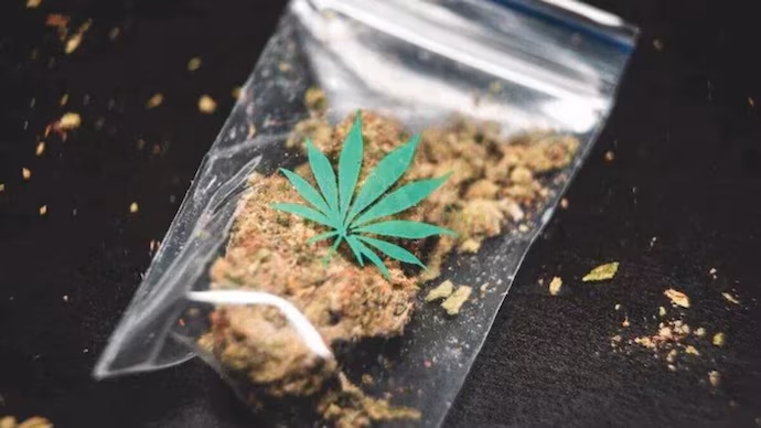 59 Grams of Ganja Seized in North and Middle Andaman