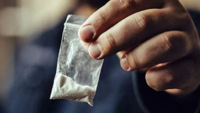 Historic Drug Seizure by Delhi and Gujarat Police