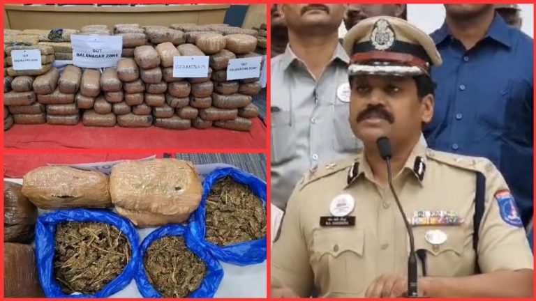 Rangat Police Seize Ganja on New Year’s Day