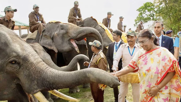 Bihar Launches ‘Haati App’ to Combat Human-Elephant Conflicts