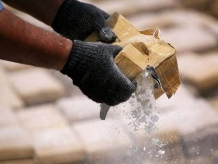 Gujarat Police Seize ₹5,956 Crore Worth of Drugs