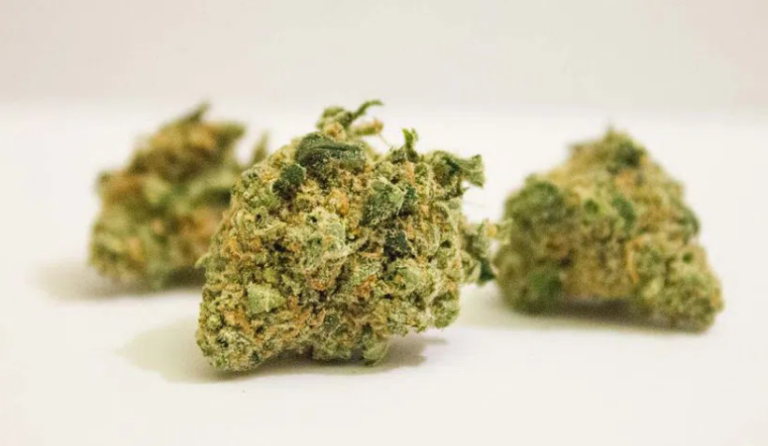 Hyderabad Police arrests JCB driver for selling ganja, seizes 10 kg of drugs