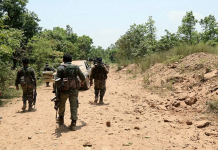 Chhattisgarh: 22 Naxals Killed in Bijapur and Kanker Encounters