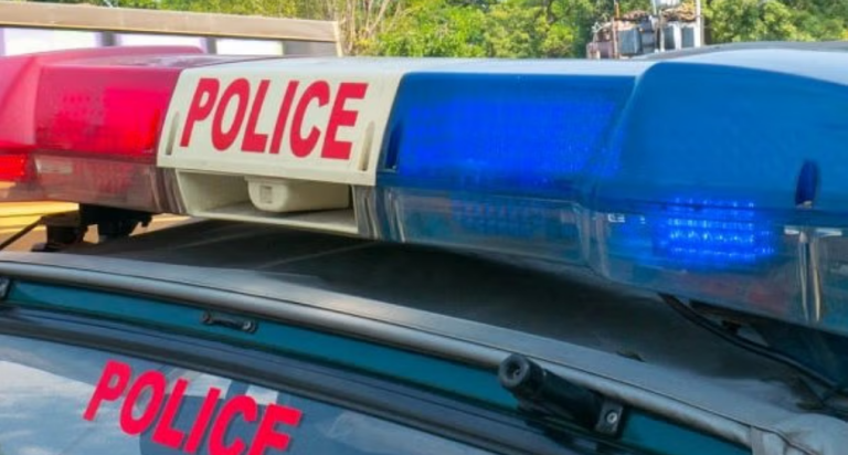 Telangana: Mother kills three children to remove ‘obstacles’ to illicit relationship